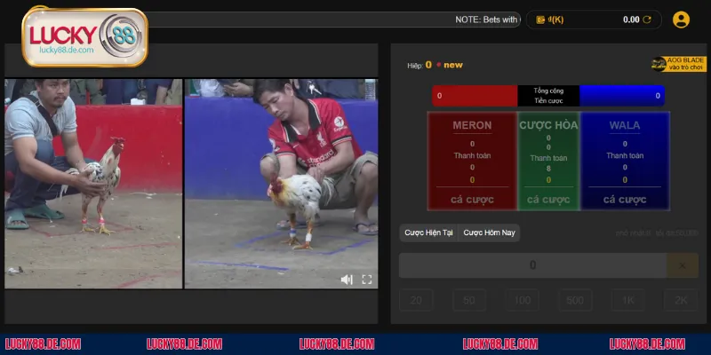 Cách để tham gia cá cược đá gà Thomo tại nhà cái